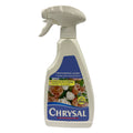Chrysal Glory - Holland