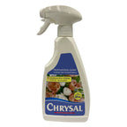 Chrysal Glory - Holland