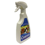 Chrysal Glory - Holland
