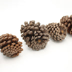 Pine Cone (Big) - China