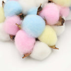 Dried Cotton Rainbow - China