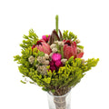 Protea - South Africa