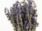 Dried Lavender - Italy