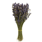 Dried Lavender - Italy