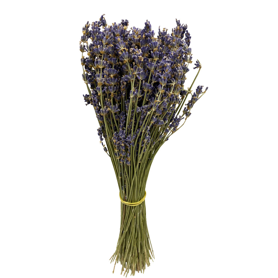 Dried Lavender - Italy