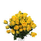 Rose Spray - Kenya