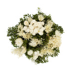 Dried Bouquet - Italy