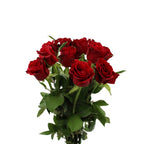 Rose - China