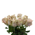 Rose - Ecuador