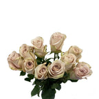 Rose - Ecuador