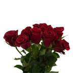 Rose - Ecuador