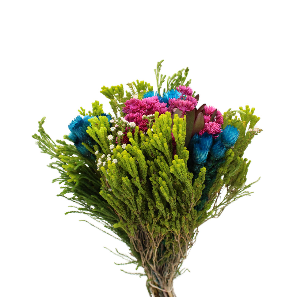 Periwinkle Mixed - South Africa