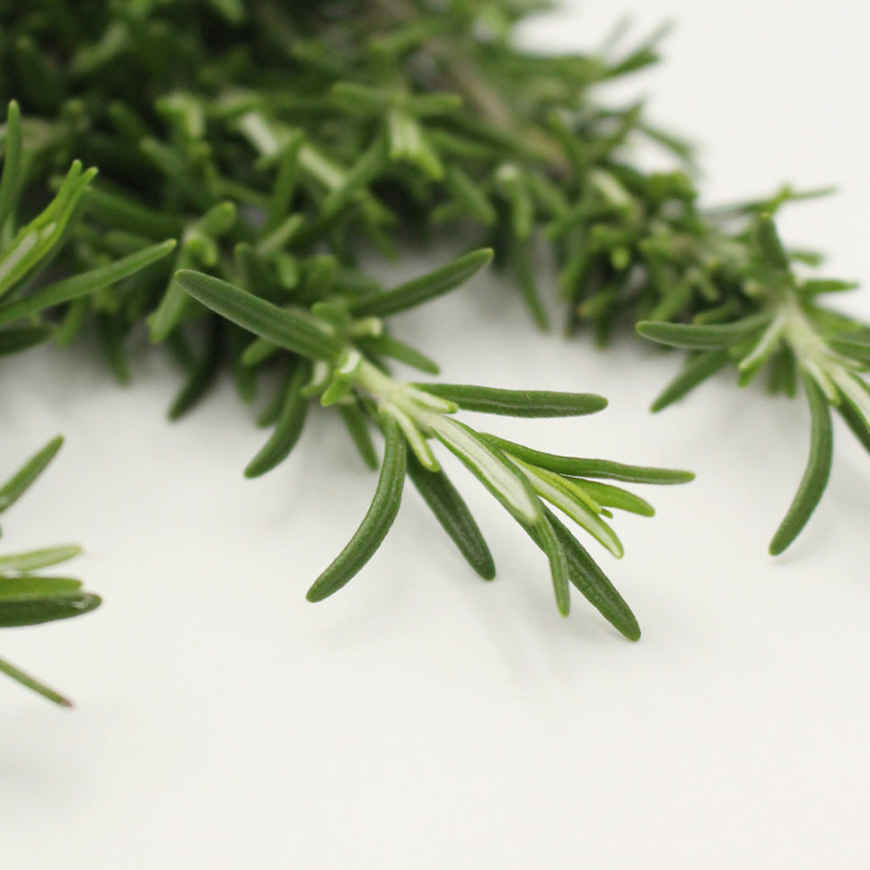 Rosemary - Italy