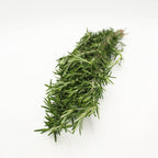 Rosemary - Italy