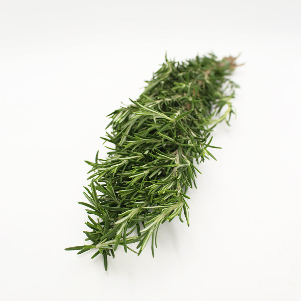 Rosemary - Italy
