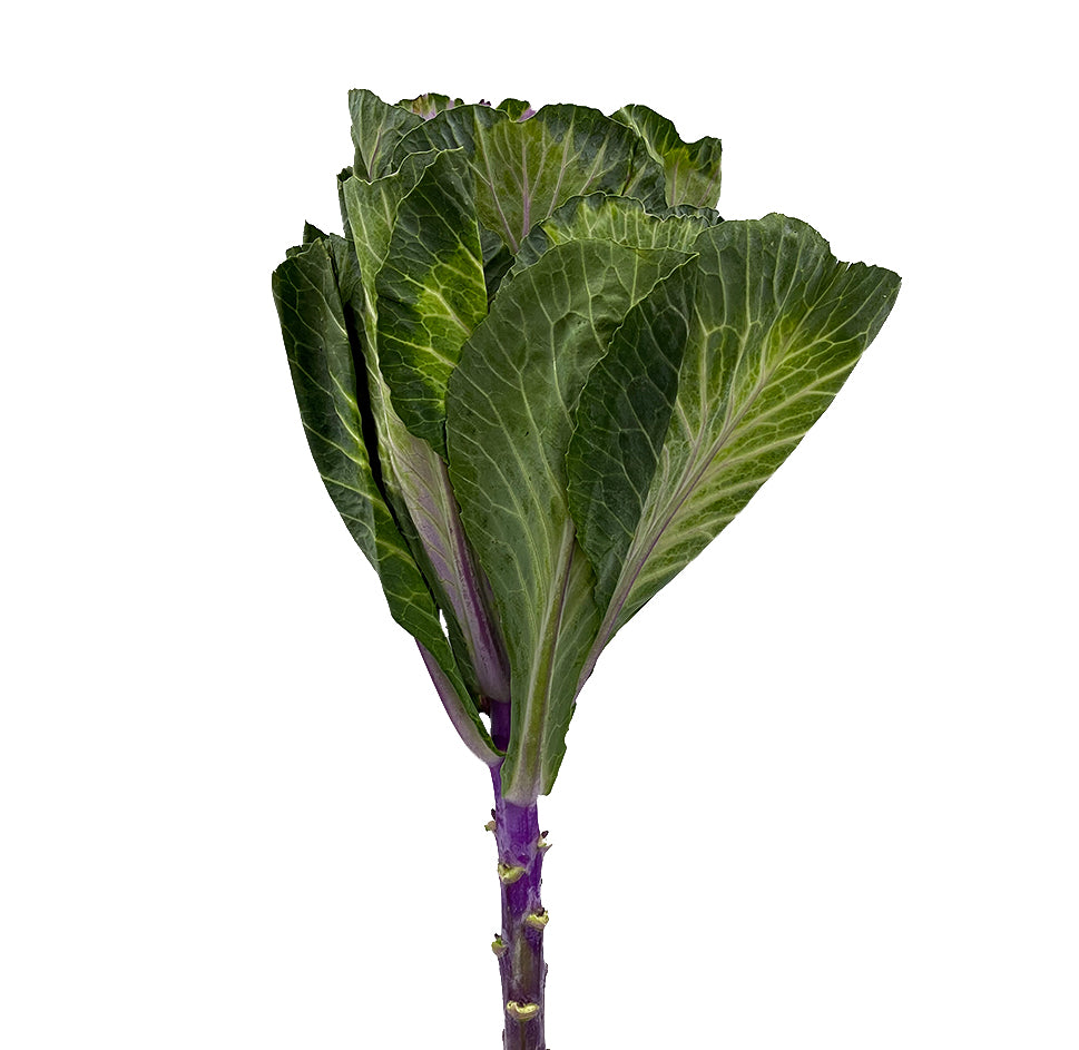 Brassica - China
