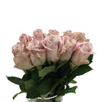 Rose - Kenya