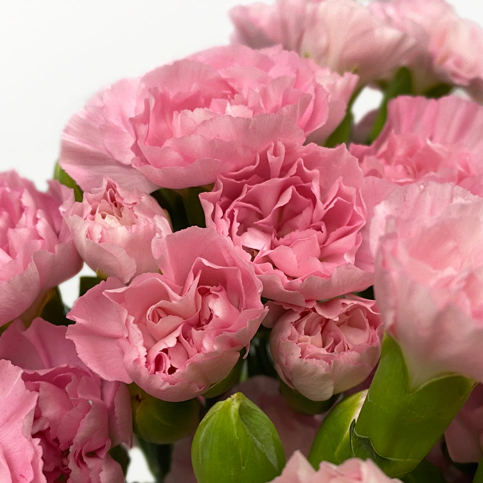 Carnation Spray - China