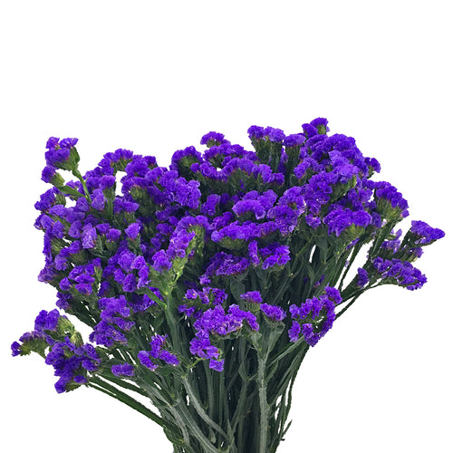 Statice Dark Purple - China