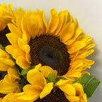 Sunflower - Taiwan