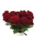 Rose Explorer Red 70CM - Kenya