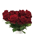 Rose Explorer Red 70CM - Kenya