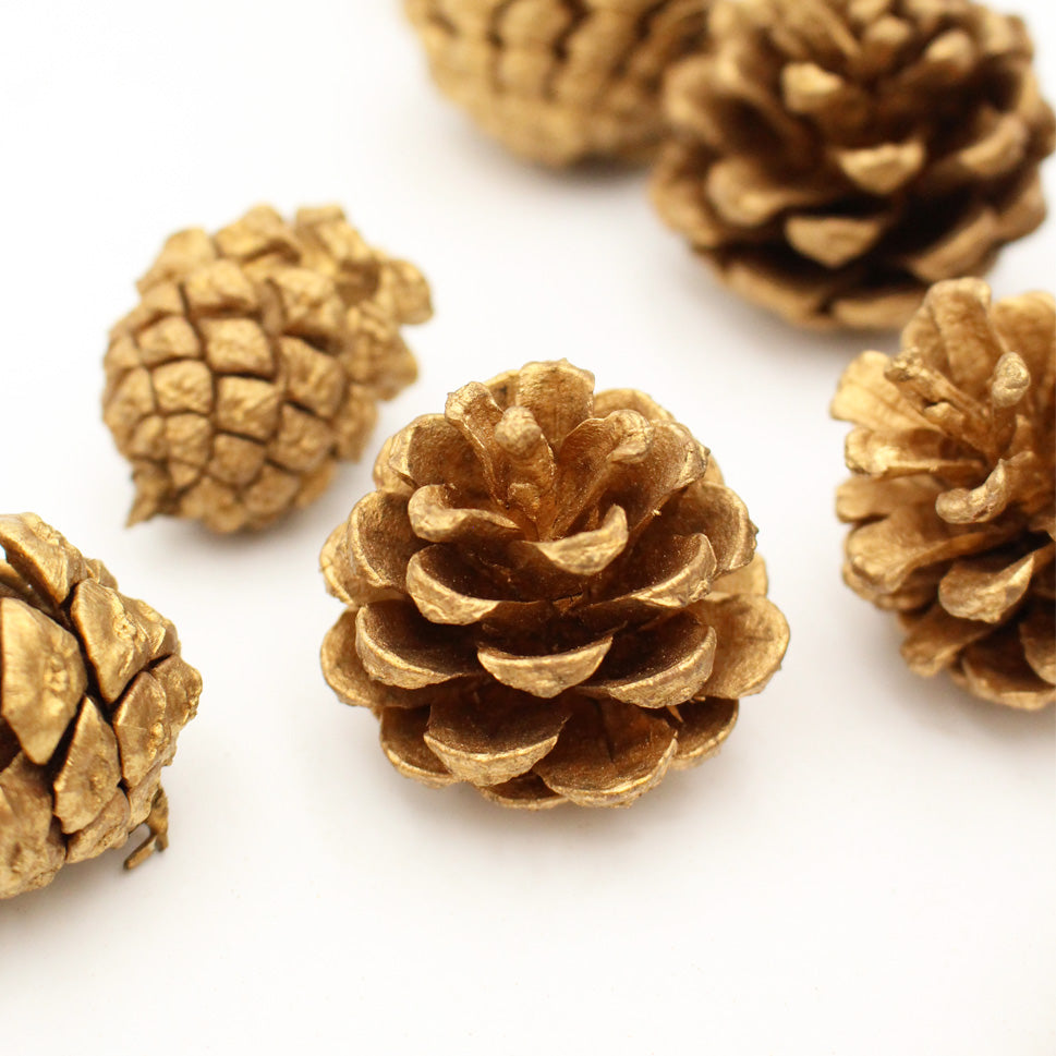 Pine Cone - China
