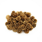 Pine Cone - China