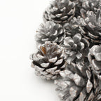 Pine Cone - China
