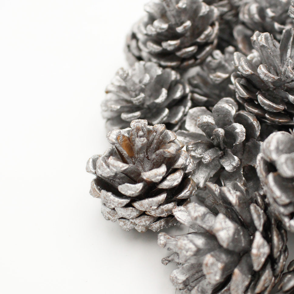 Pine Cone - China