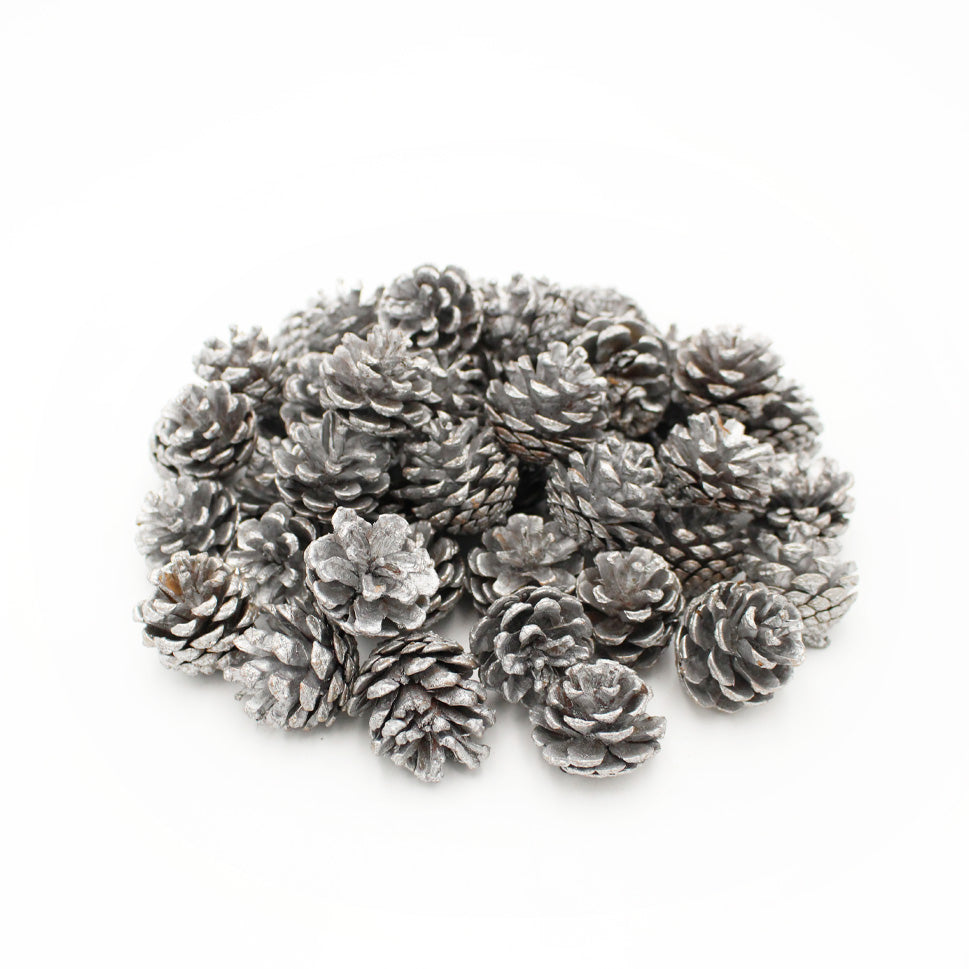 Pine Cone - China