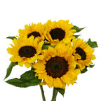 Sunflower (A) 5 stalks - Malaysia