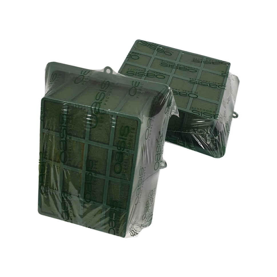 Oasis Rectangle Container with Foam Wet - Malaysia