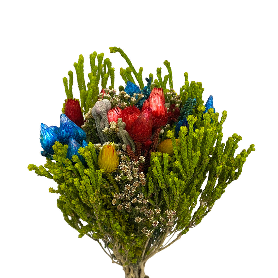 Summermorn Mixed - South Africa