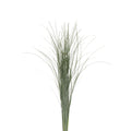 Beargrass - Holland
