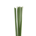 Typha Leaf - Taiwan