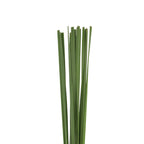 Typha Leaf - Taiwan