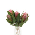 Protea - South Africa