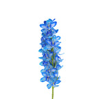 Cymbidium Orchid Dyed X6 Blue - Holland