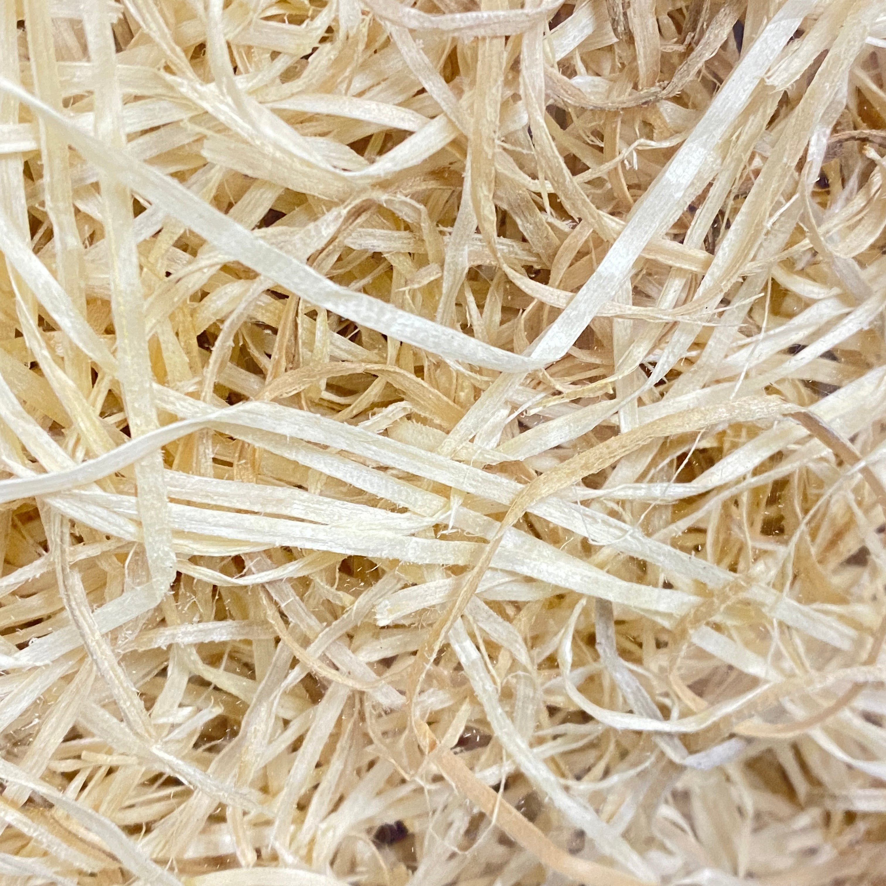 Wood Wool 1KG - Holland
