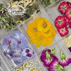 christmas flower press workshops materials