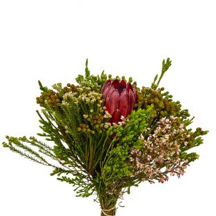 Protea 2 Flower Bouquet Mixed - South Africa