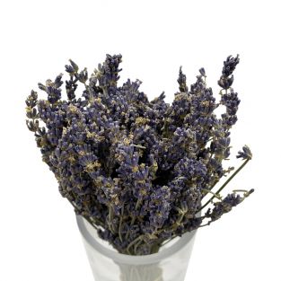 Dried Lavender - Italy