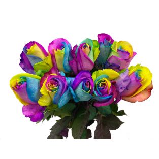 Rose Tinted Multicolour - Ecuador